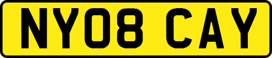 NY08CAY