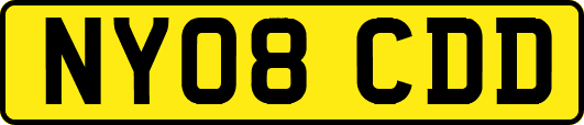 NY08CDD