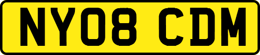 NY08CDM