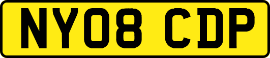 NY08CDP