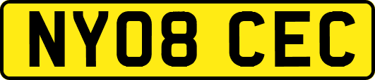 NY08CEC
