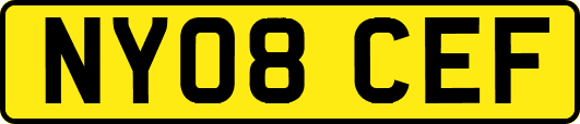NY08CEF