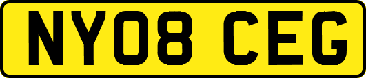 NY08CEG