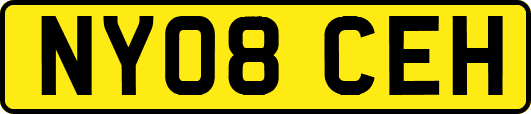 NY08CEH
