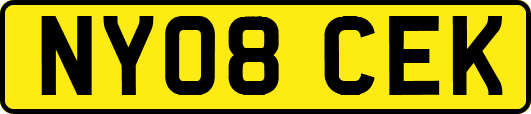 NY08CEK