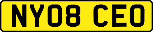 NY08CEO