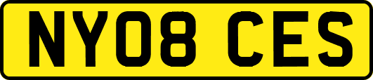 NY08CES