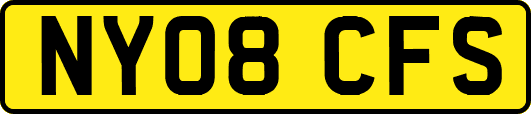 NY08CFS