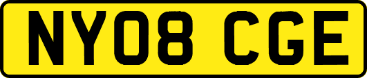 NY08CGE
