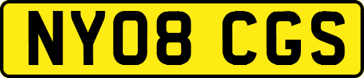 NY08CGS