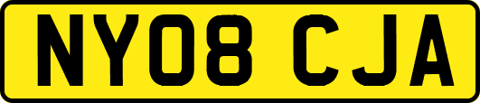 NY08CJA
