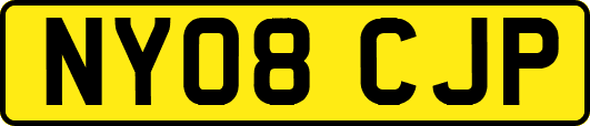 NY08CJP