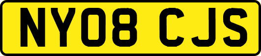 NY08CJS