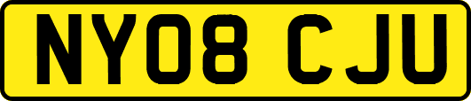 NY08CJU