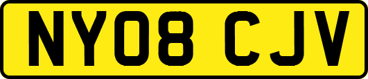 NY08CJV