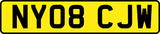NY08CJW