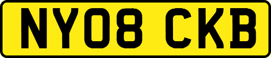 NY08CKB