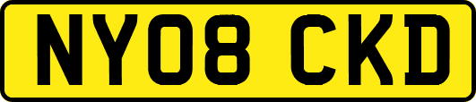 NY08CKD