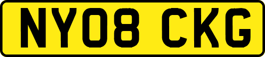 NY08CKG