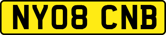 NY08CNB