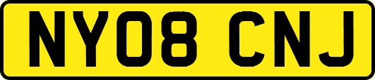 NY08CNJ