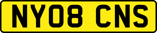 NY08CNS