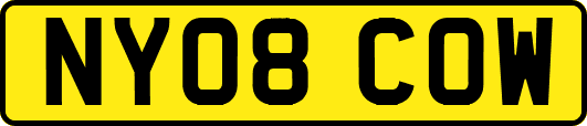 NY08COW