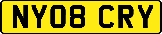 NY08CRY