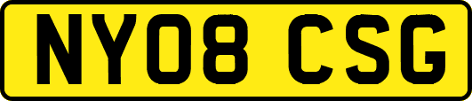 NY08CSG