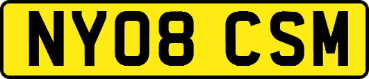 NY08CSM