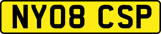 NY08CSP