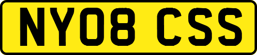 NY08CSS