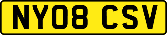 NY08CSV