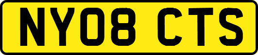 NY08CTS