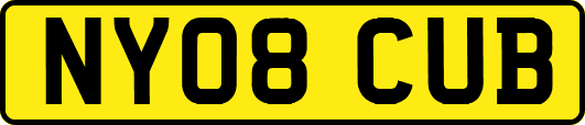 NY08CUB