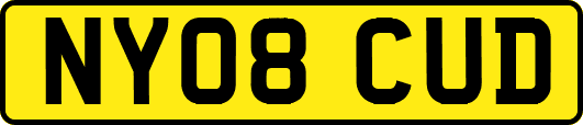 NY08CUD
