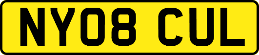 NY08CUL