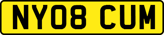 NY08CUM