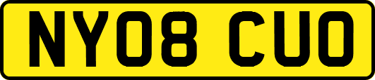 NY08CUO