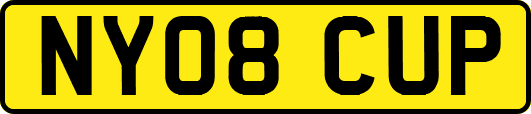 NY08CUP
