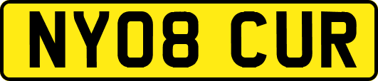 NY08CUR