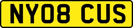 NY08CUS