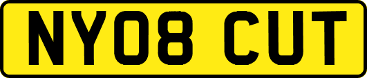 NY08CUT