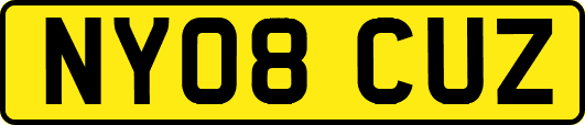 NY08CUZ