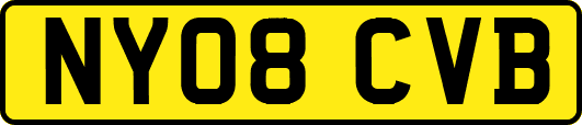 NY08CVB