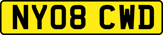 NY08CWD