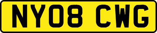 NY08CWG