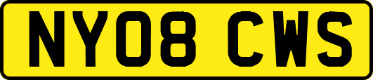 NY08CWS