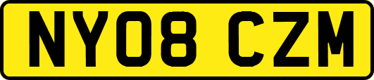 NY08CZM
