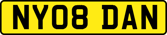 NY08DAN